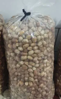 قصب درجه یک