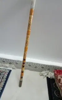 نی طراحی شده