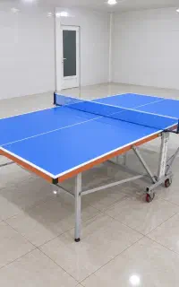 میز پینگ پونگ