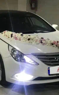 کرایه خودرو اجاره خودرو سوناتاyf