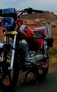 ۱۴۰۴ خشک وحشی