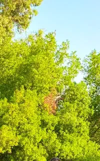 ورزش پارک زیتون کارمندی ویژه ورزشکاران