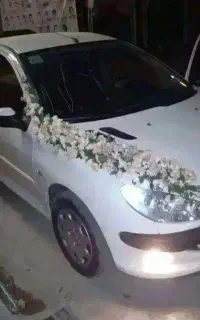کرایه انواع خودرو جهت اومورات روز مرگی و ...