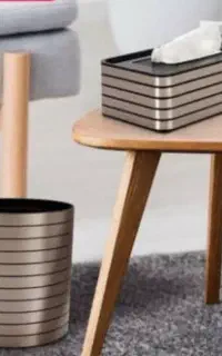 سطل ودستمال کاغذی