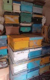 فروش کندو خالی و طبقه