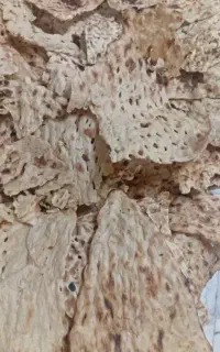 فروش نان خشک تمیز بدون کپک