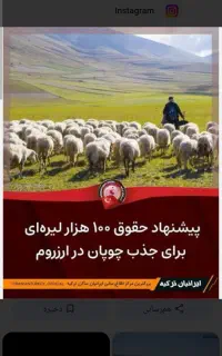 استخدام برای شغل دامپروری در ترکیه