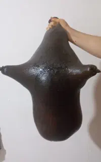 هیزه نو سالم