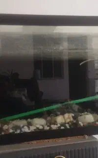 اکواریوم