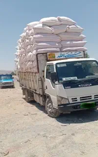 کاه گندم دیم اعلا تحویل دامداری