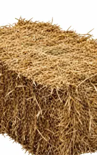 پرس گندم و جو