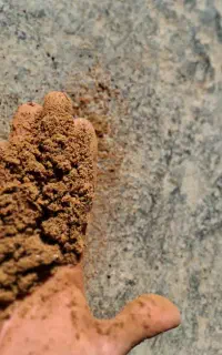 پودر گوشت و پودر ماهی مخصوص خوراک ابزیان