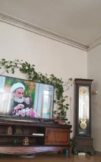 چند عدد گلدان طبیعی و ۶ عدد پشتی نو