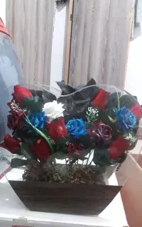 عکس اگهی