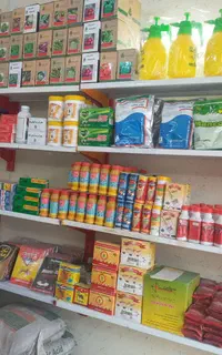 سمپاشی سوسک ساس سم پاشی موش کنه کک گال  تضمینی