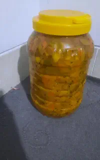 ترشیجات