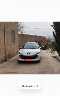 207 اتوماتیک پاناروما آپشنال خشک