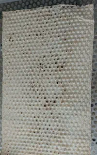 کارگر خمیر گیر برای  نانوایی جهت اموزش