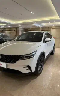 دیگنیتی پرستیژ صفر تحویل نمایندگی