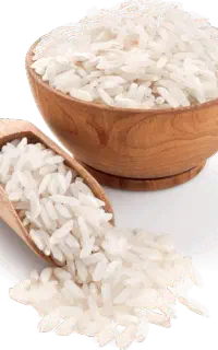 خریدار  برنج gtc و غیره