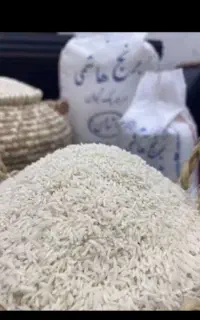 برنج هاشمی درجه یک بشرط  با چک کارمندی