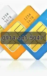 فروش سیمکارت ۴۴۱ رند با ۶ سال تخلیه