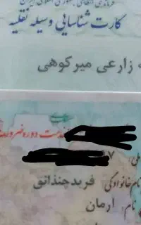 بنام آرمان فریدچنذائق و اسدالله زارعی میرکوهی