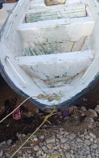 تشت قایق 17فوت