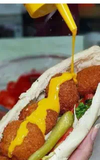ساندویجی و فلافلی رضا