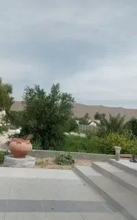 کلیه خدمات باغ