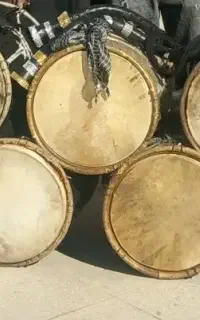 پوست دمام،پوست بز،سالامبر،سلمبر،پوست ساز و دف