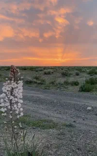 تور مسافرتی یک روزه برای بانوان(خانم هستم)