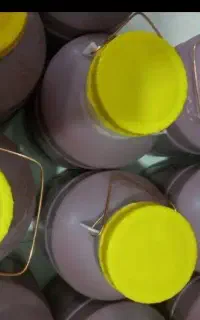 رب درجه ۱