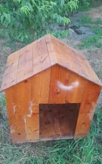 لانه سگ و گربه