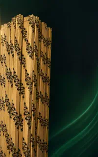 چوب روس برند دماوند، رگال(زنجانی)