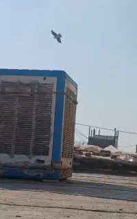 کولر آبی