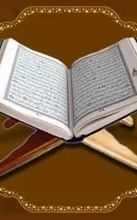 حافظ قران یافاضله خانم