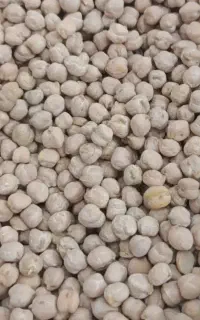 نخود تازه کیلویی220
