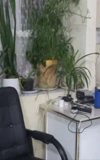 سالن آرایشگاه ترجیحا زنانه حدودا ۶۰ متری