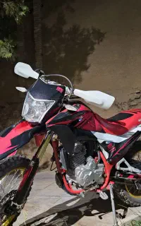 تریل برمودا
