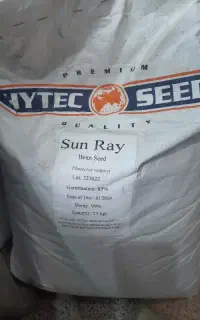 بذر لوبیا سبز رقم هایتک شرکت امریکایی