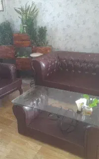 چستر
