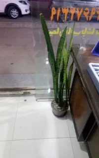 وسایل خانه