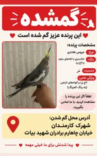 عروس هلندی گمشده