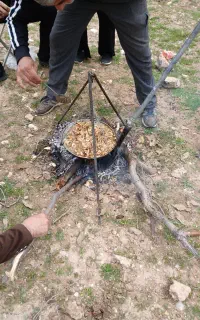 نیازداریم چوپان