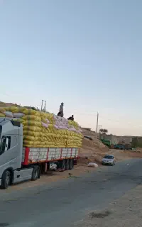 خریدار کاه گندم اطراف سقز و دیواندره