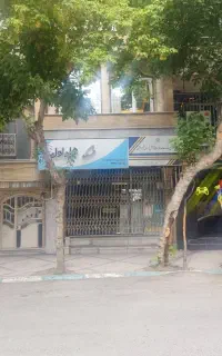 ۹۱۸۸۳۱۷۰۰۱  سیم کارت
