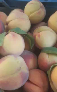 هلو زعفرانی