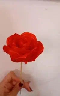 گل روبانی
