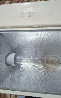 نورفکن